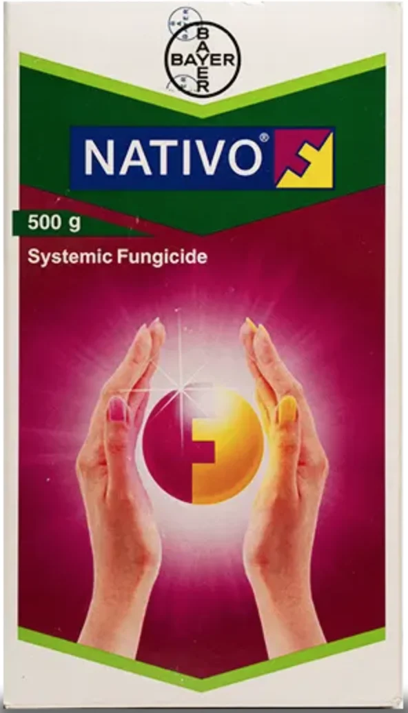 Nativo
