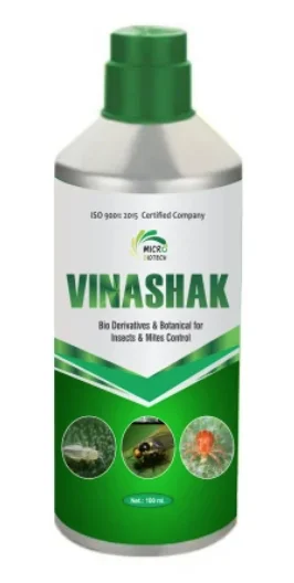 Vinashak