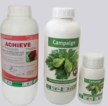 Campaign
