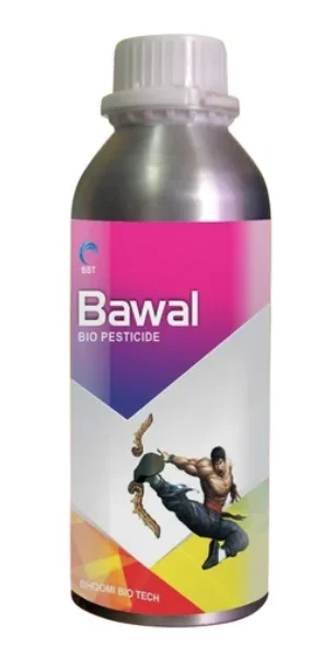 Bawal