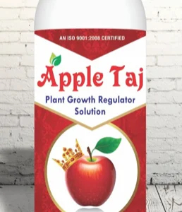 Apple Taj