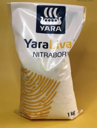Yara Liva