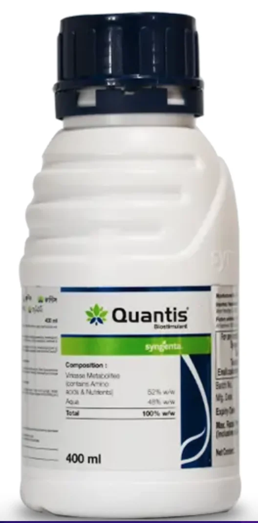 Quantis