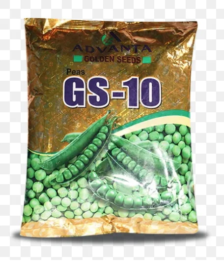GS-10