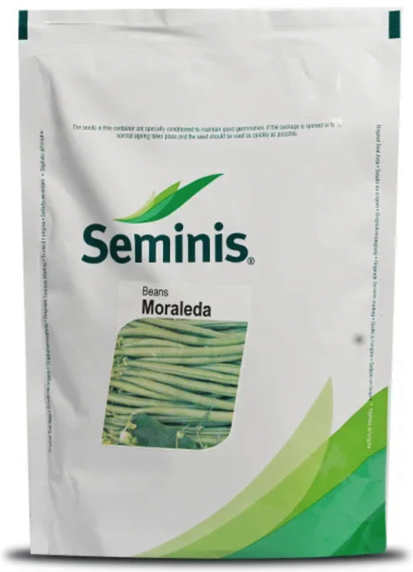 Semins Beans (Moraleda)