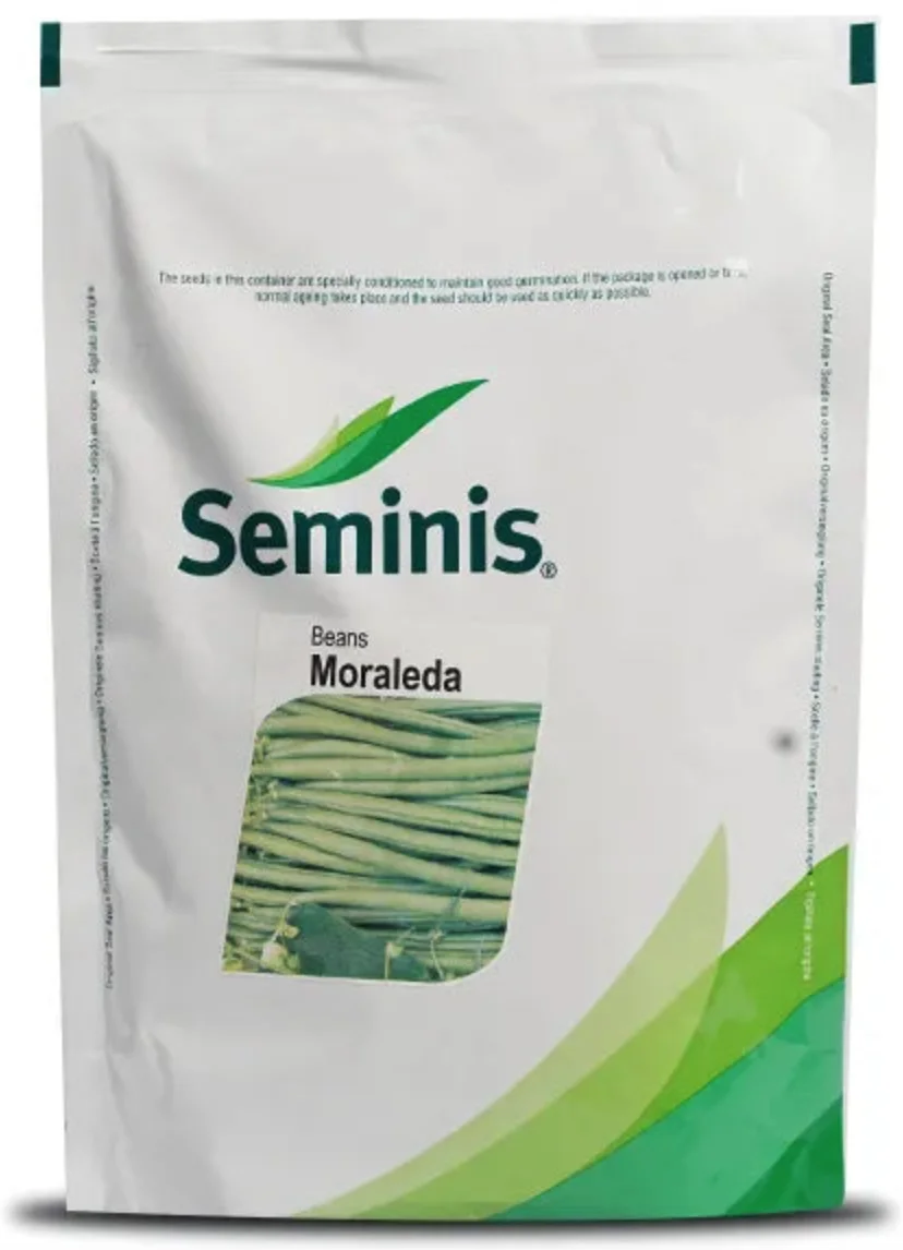 Semins Beans (Moraleda)