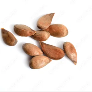 Apple Seeds