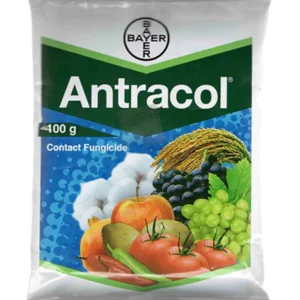 Antracol