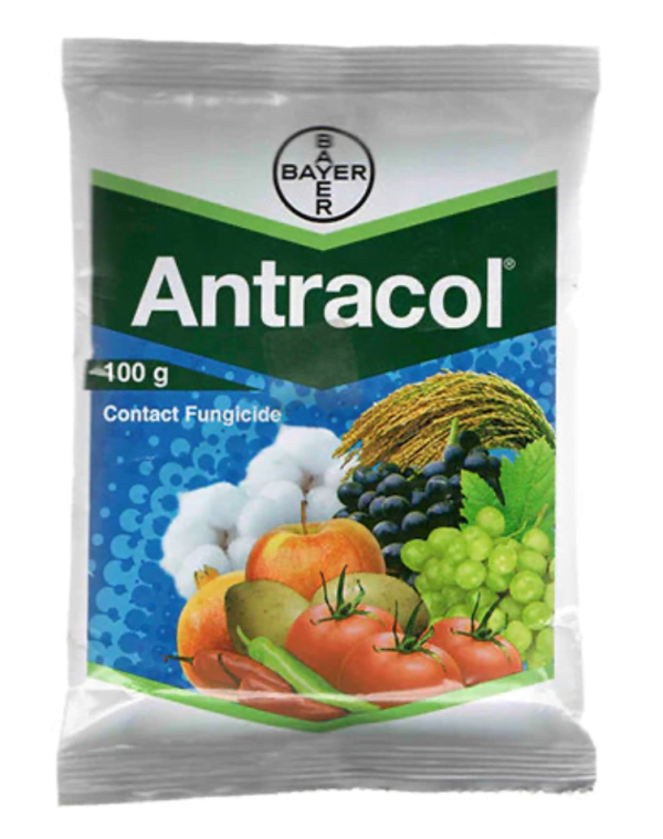 Antracol